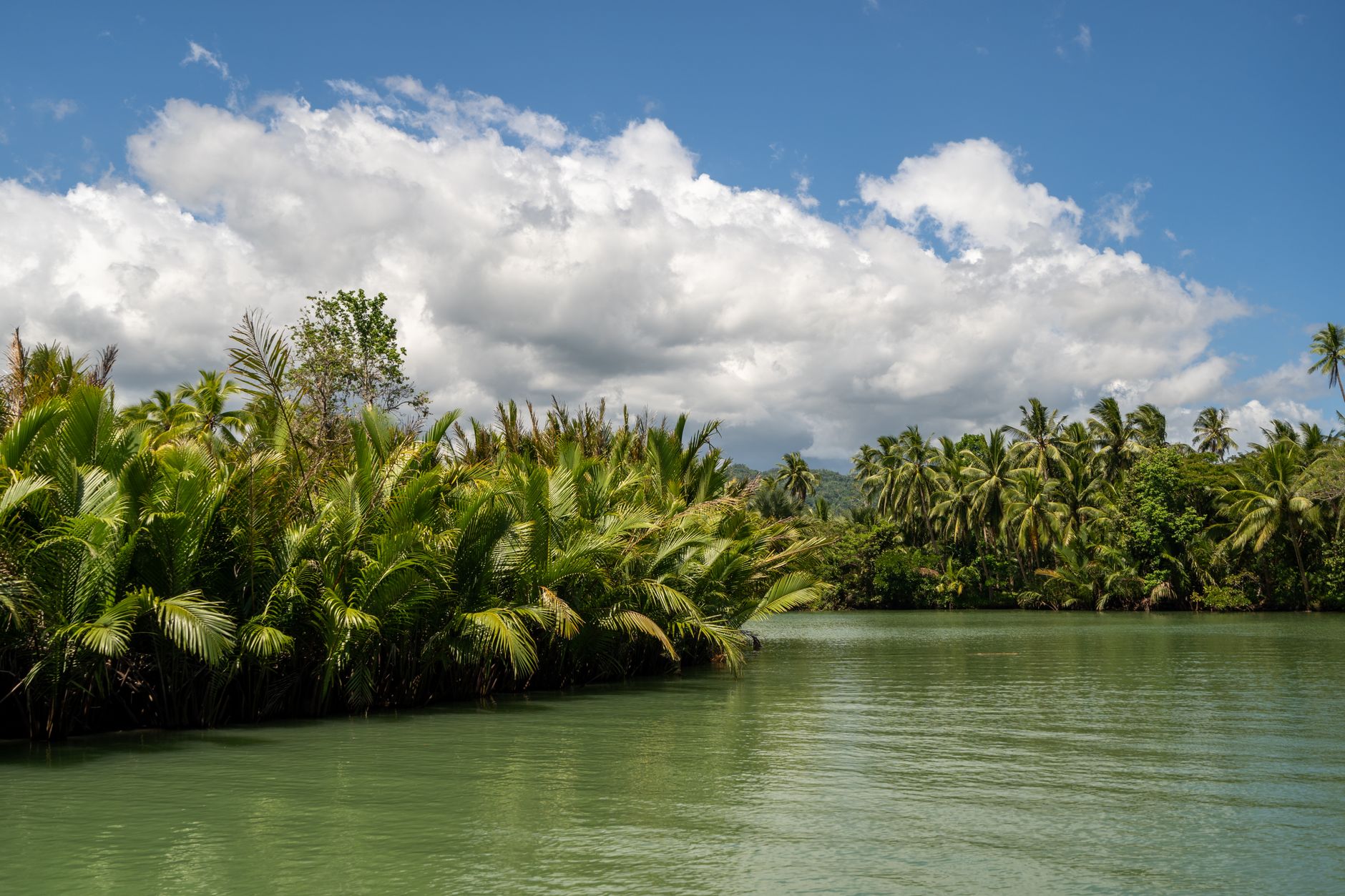 Vibrant tropical lagoon surrounded by lush palm trees under a bright blue sky.
