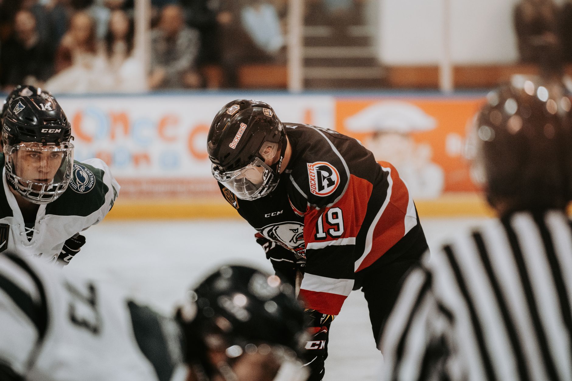 Close-up action scene of ice hockey players in full gear competing on an indoor rink.