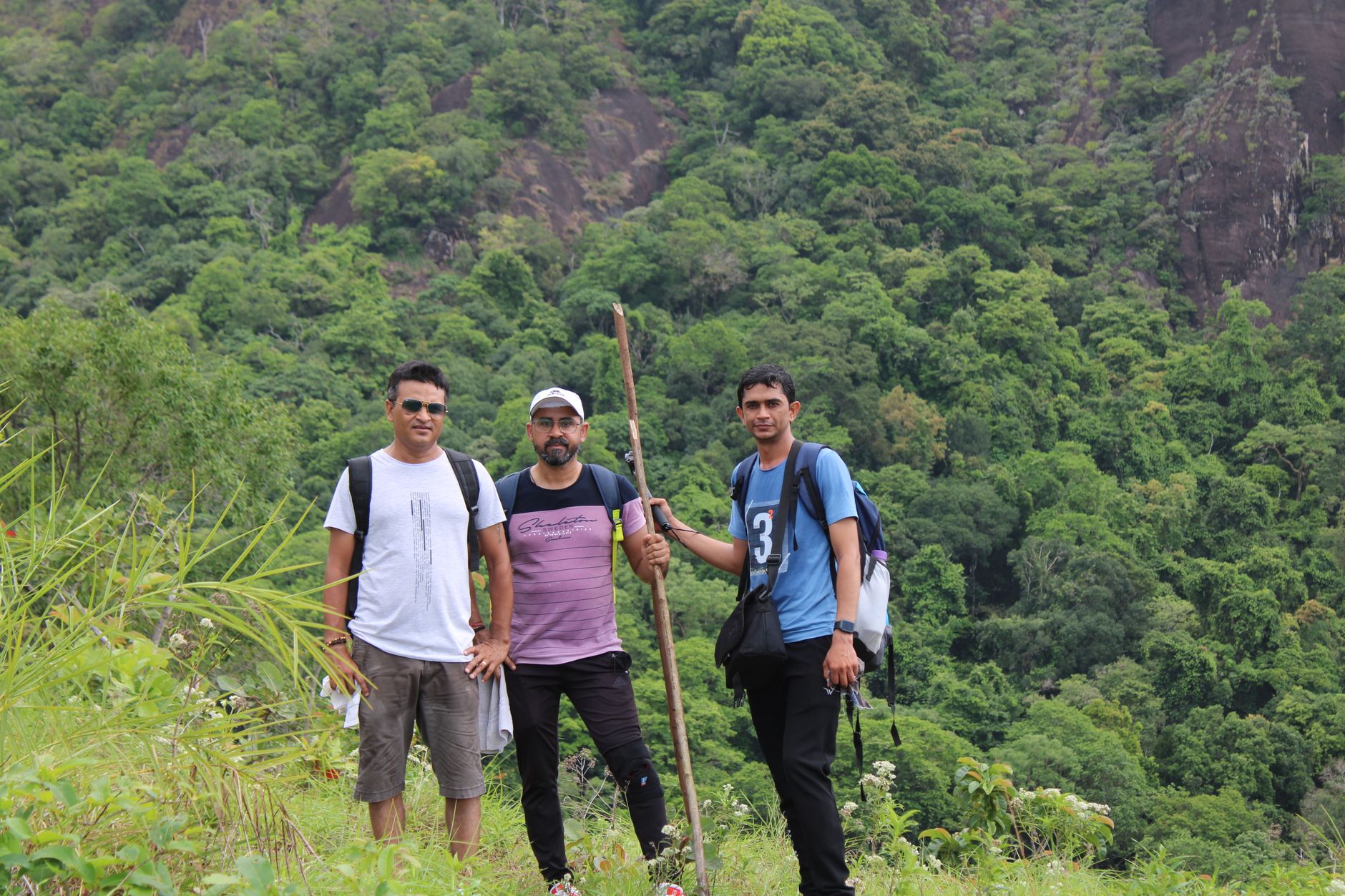 Group of hikers exploring lush mountain forest on a scenic adventure.
